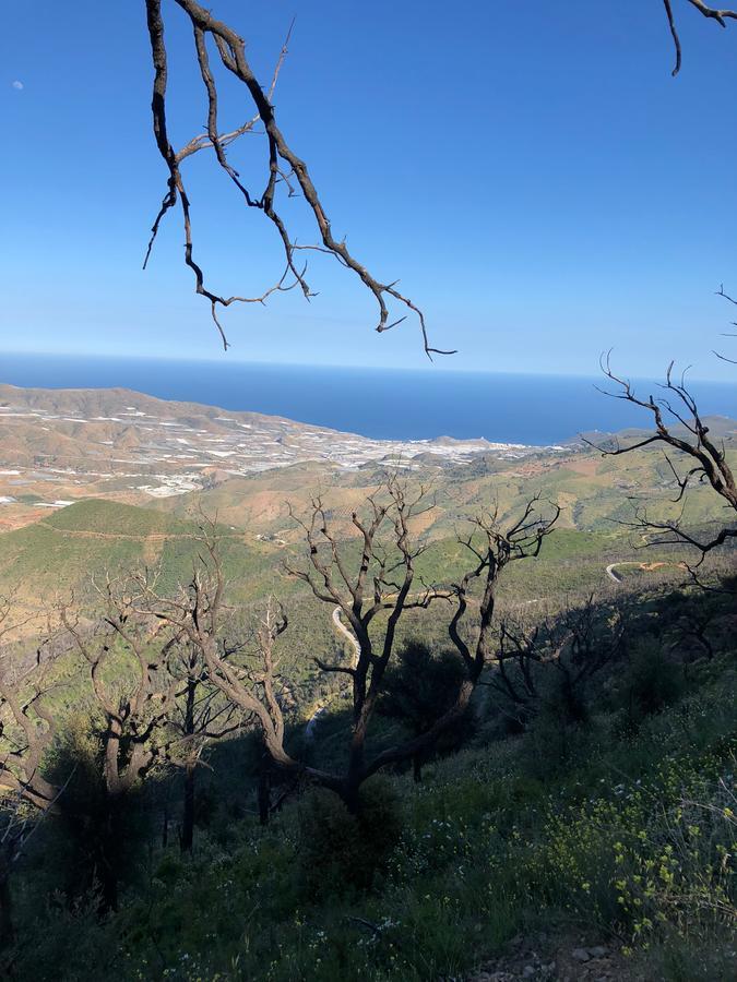 Гостевой дом Cortijo Sancardo Лухар Экстерьер фото